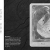 A grayscale Fool card from the Dream Raven Tarot by Schiffer Publishing, Ltd. shows an ornate bird with a spiral pattern, long tail, and flowing feathers. The opposite page presents Beth Seilonen’s interpretation in elegant text.