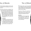 Two tarot card pages from the Dream Raven Tarot by Schiffer Publishing, Ltd. show the Ace of Wands (left) and Two of Wands (right), both in black and white with wands, faces, abstract designs, and card meanings including reversals.