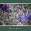 A textured collage of earthy greens and purples with abstract shapes, framed by green, evokes inspiration. Beneath the image reads “AGELESS ANSWERS.” From Gaia's Vision Oracle Cards by Schiffer Publishing, Ltd.