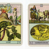 Two illustrated cards from Schiffer Publishing, Ltd.'s "Oracle of the Radiant Sun": one depicts a chameleon, naked woman, and volcano labeled "Lust"; the other shows a woman with oxen in a chariot, labeled "Ostentation." Perfect for astrology decks.