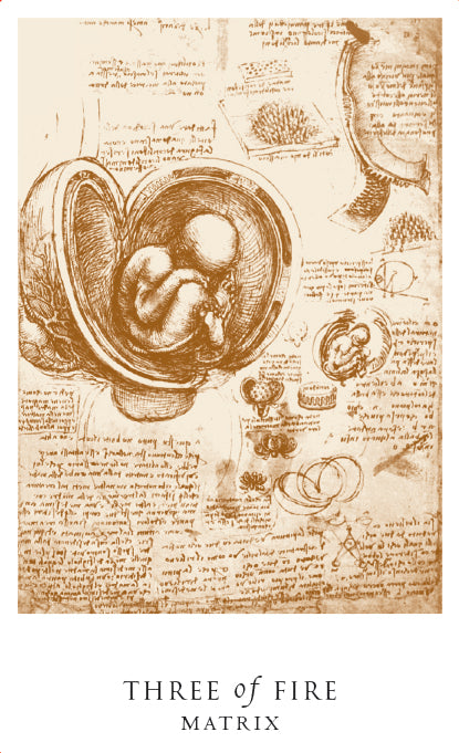 Sepia sketch of a fetus in a womb with anatomical drawings and notes, labeled "Three of Fire - Matrix," reminiscent of Leonardo da Vinci’s style. From the Da Vinci Enigma Tarot (Deck and Guidebook Box Set) by Schiffer Publishing, Ltd.