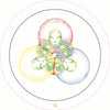 A pointillist diagram for the Transparent Oracle by Schiffer Publishing, Ltd. shows four overlapping red, blue, yellow, and green circles with stylized alien faces blending at intersections and the number 74 beneath.