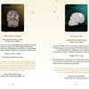 The Oracle of the Crystal Skulls by Schiffer Publishing, Ltd. features two pages on Portal of Venus and Rainbow, highlighting materials, chakras, metaphysical traits, guardians, quotes, and each skull's image at the top of its page.