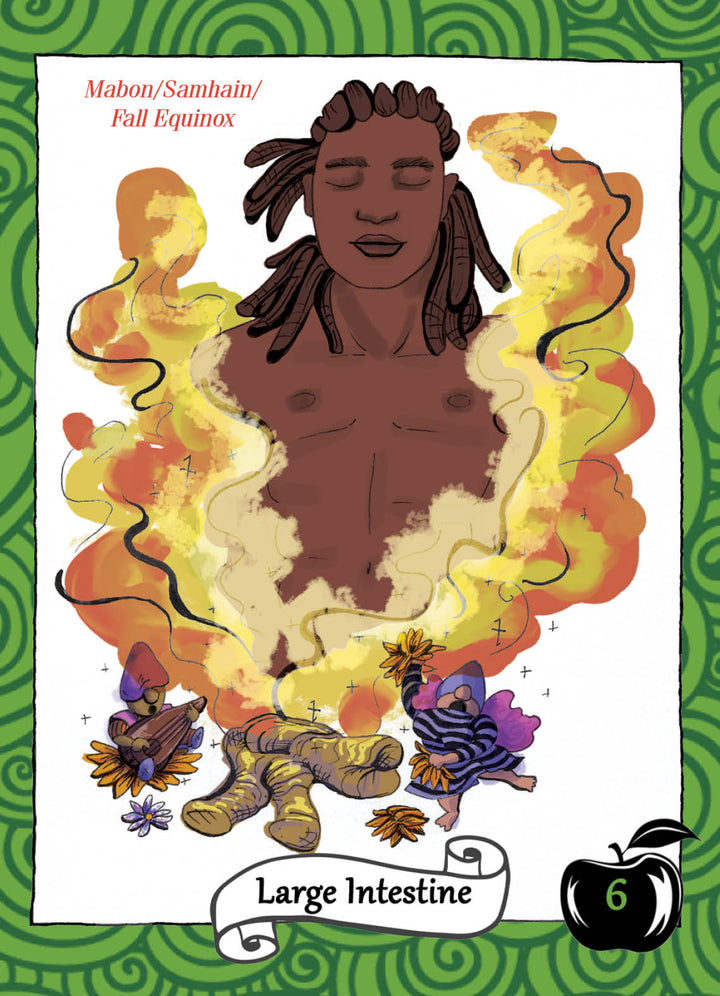 An illustrated card from The Healthy Witch Oracle Cards by Schiffer Publishing, Ltd. features a shirtless person amid yellow energy, flowers, roots, and herbs. It reads "Mabon/Samhain/Fall Equinox," "Large Intestine," and shows a black apple with the number 6.