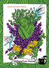 A green figure with leafy hair hugs themselves among purple and yellow flowers, two blue fairies nearby. Text: Spring/Skin/Earth Walking, Wellness/Love Yourself—The Healthy Witch Oracle Cards by Schiffer Publishing, Ltd.—black apple, number 10.