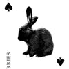 A card from the Inner Eye Oracle by Schiffer Publishing, Ltd. features the 9 of Spades with a black rabbit in the center and "WORRIES" written vertically on this unique divination deck card.