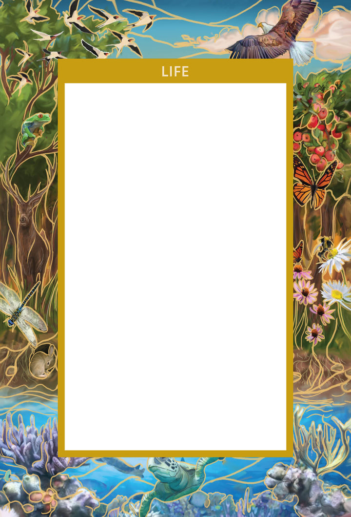 Frame This Oracle by Schiffer Publishing, Ltd. is a decorative frame labeled LIFE with illustrated wildlife—deer, birds, butterflies, flowers, fish, and a turtle—surrounding a blank center for your custom oracle deck or spiritual tool.