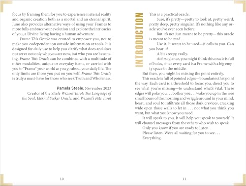 An open copy of Frame This Oracle by Schiffer Publishing, Ltd. displays pages 10 and 11: page 10 has Pamela Steele’s welcome to oracle cards, while page 11 has a vertical orange INTRODUCTION and practical usage tips.