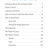 Table of Contents for The Animystic Tarot by Schiffer Publishing, Ltd., listing chapters and page numbers on tarot basics, animism, connecting with decks, spreads, the nature-inspired Animystic Tarot deck, Major/Minor Arcana, and card suits.