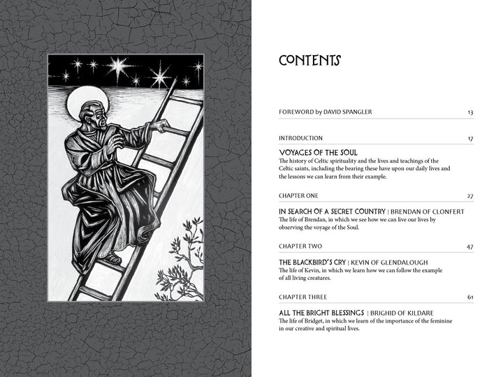 Black-and-white drawing: a robed figure with halo climbs a ladder toward stars and moon, branches nearby. On the right, a table of contents hints at Christian meditations in Voyages with the Celtic Saints (Schiffer Publishing, Ltd.).