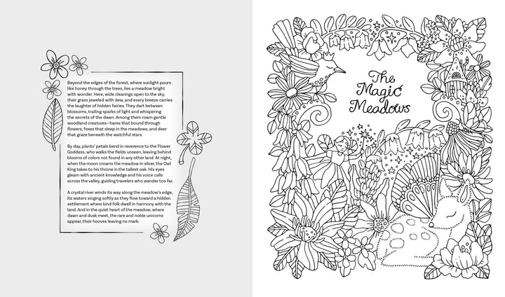 A spread from Fantasy World Coloring Book MAGIC MEADOWS by Schiffer Publishing, Ltd.: left page has a floral-bordered story about a magical meadow; right page features “This Magic Meadow” with flowers, birds, and a castle to color.