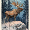 A majestic elk stands on a snowy hill beneath a starry sky, echoing Nordic folklore. The card from Schiffer Publishing’s Nordic Forest Rituals Oracle Cards reads: HIRVI / ELK, WARDEN OF THE WILDS—Reverence | Protection | Cycle of Life.