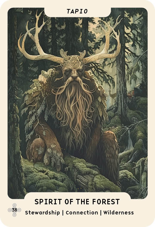 An illustration for Nordic Forest Rituals Oracle Cards by Schiffer Publishing, Ltd. shows Tapio, the forest spirit from Nordic folklore—antlered, with a long beard and mossy fur—amid dense trees. Text reads: “SPIRIT OF THE FOREST.”.