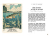 An illustrated pike swims among lake plants, viewed from the side. Below is the text: “The Ancient Ruler of Waters. Power | Wisdom | Connection.” Nordic Forest Rituals Oracle Cards by Schiffer Publishing, Ltd.; Nordic folklore symbolism appears at right.