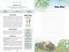 A menu for Cape Cod Cones featuring local ice cream origins, flavors, and details. At right is a Field Notes lined section with seaweed accents and two illustrated seashells. Published by Schiffer Publishing, Ltd.
