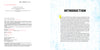 Two-page spread of Punk and New Wave Record Ads by Schiffer Publishing, Ltd. Left page shows copyright and publishing info in black and red; right page, styled like promo art, has a textured blue background with bold INTRODUCTION and body text.