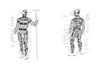 “Tahiti Tattoos” by Schiffer Publishing, Ltd. features black and white anatomical drawings with tribal body markings inspired by Tahitian tattooing, labeled in a foreign language; one figure holds a staff, reflecting sacred art traditions.