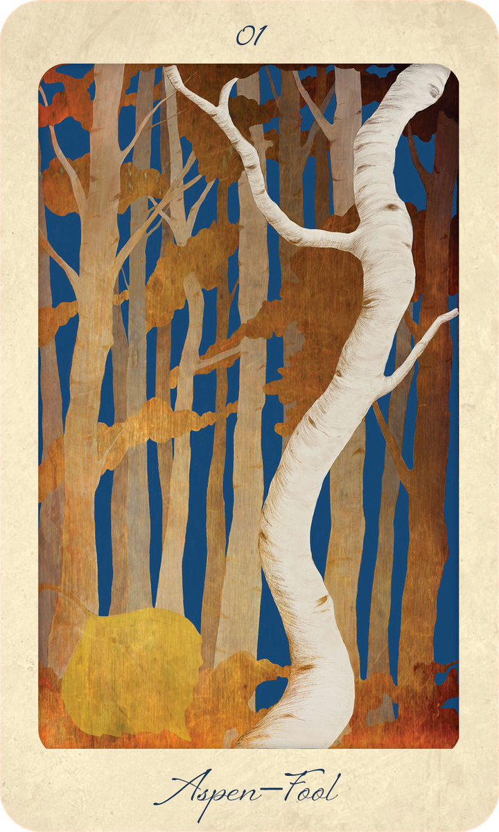 A card from The Tree Tarot by Schiffer Publishing, Ltd. titled Aspen–Fool features a white, twisting aspen tree in the foreground, set against an autumn-colored forest and deep blue sky. Numbered 01 at the top, this card embodies forest wisdom and new beginnings.
