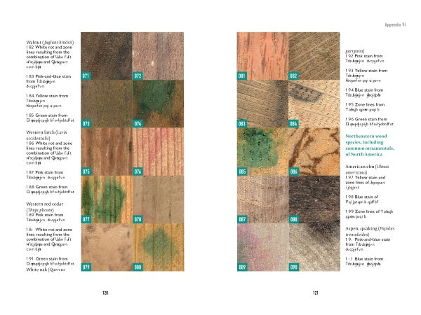 In "Spalting 101" by Schiffer Publishing, Ltd., a two-page spread displays numbered wood samples featuring various colors, stains, and spalting techniques, with a corresponding list describing each sample’s details.