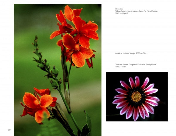 Showcased from "The Art of Flower Photography" by Schiffer Publishing, Ltd.: Left—a cluster of orange-red flowers with green stem and blurred background; right—a close-up of a pink-and-white daisy with yellow center on black.