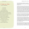 Two pages from "The Healthy Witch" by Schiffer Publishing, Ltd.: one page lists the 13 Goals of a Witch (like self-knowledge and meditation), while the other explores magical healing through the elements.