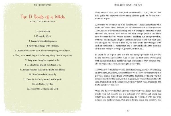 Two pages from "The Healthy Witch" by Schiffer Publishing, Ltd.: one page lists the 13 Goals of a Witch (like self-knowledge and meditation), while the other explores magical healing through the elements.