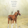 A brown Chincoteague pony foal stands in a grassy field with two birds nearby. Faint trees are in the background. Wild Colt by Schiffer Publishing, Ltd. captures this picture book scene set on Assateague Island.