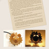 A page from Schiffer Publishing, Ltd.'s "Cut-out Gourd Techniques" shows how to make a hedgehog-themed lamp, inspired by gourd art, with photos and step-by-step creative instructions using light bulbs and spiky materials.