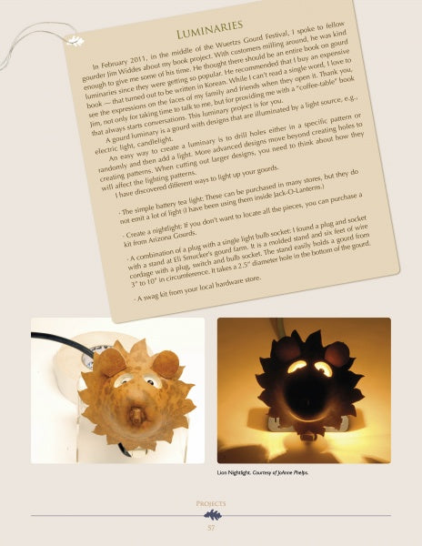 A page from Schiffer Publishing, Ltd.'s "Cut-out Gourd Techniques" shows how to make a hedgehog-themed lamp, inspired by gourd art, with photos and step-by-step creative instructions using light bulbs and spiky materials.