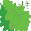 Illustration of a green caterpillar and stick bug on overlapping leaves with labeled diagrams, from "Insects" by Schiffer Publishing, Ltd.—great inspiration for beginner origami fans starting new insect-themed projects.