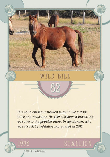 A muscular chestnut Chincoteague Pony stallion stands alert in a grassy paddock. Schiffer Publishing’s Chincoteague Pony Identification Cards feature Wild Bill, #82 (1996), known for his strength and pedigree among wild ponies.