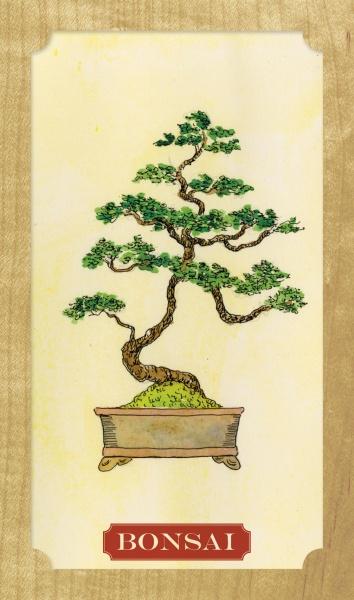An illustrated bonsai tree with green leaves in a rectangular pot is shown on a light background with a wooden frame. A red label at the bottom reads "BONSAI." Inspired by the Tree of Life Oracle from Schiffer Publishing, Ltd.