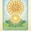 The Herbal Healing Deck by Schiffer Publishing, Ltd. features an illustrated oracle card of two bright calendula flowers and green leaves on a blue-green background, with "Calendula - Shine" honoring its herbal healing properties.