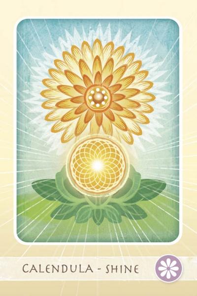 The Herbal Healing Deck by Schiffer Publishing, Ltd. features an illustrated oracle card of two bright calendula flowers and green leaves on a blue-green background, with "Calendula - Shine" honoring its herbal healing properties.