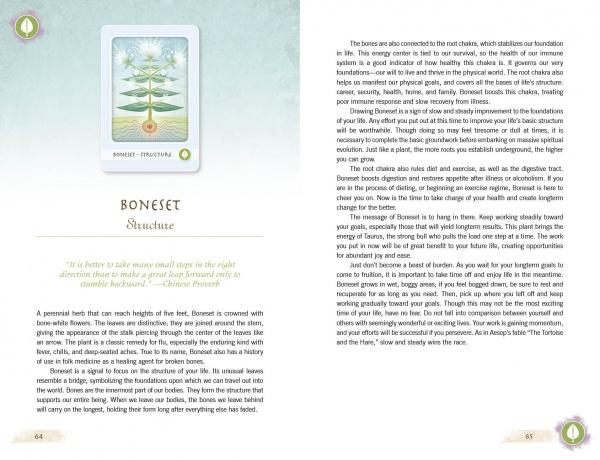 An open book from The Herbal Healing Deck by Schiffer Publishing, Ltd. displays pages 64–65 with a Boneset card illustration, oracle card style, a stylized plant, and text on its symbolism, herbal uses, and health benefits.
