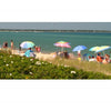 Relax under colorful beach umbrellas by the sea on Martha’s Vineyard, captured in panoramic style in "Martha’s Vineyard Wide" by Schiffer Publishing, Ltd.—green dunes, white flowers, and calm blue water complete the scene.