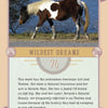 A brown and white paint mare grazes by a lake, identified as Wildest Dreams on Schiffer Publishing’s Chincoteague Pony Identification Card, with info on her 2008 birth, lineage, nicknames, and escapes with her sister.
