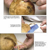 The book "Gourd Art Basics" by Schiffer Publishing, Ltd. offers step-by-step instructions for repairing a broken gourd stem, showing how to apply wood glue, tape the stem, and realign fibers for best results.