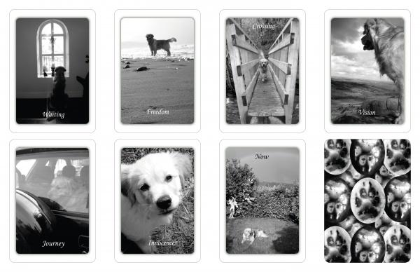 Eight black-and-white photos of a dog in different settings—labeled with captions like "waiting by a window" and "standing on a beach"—from Simple Wisdom of the Household Dog by Schiffer Publishing, Ltd., ideal for dog-inspired tarot or oracle cards.