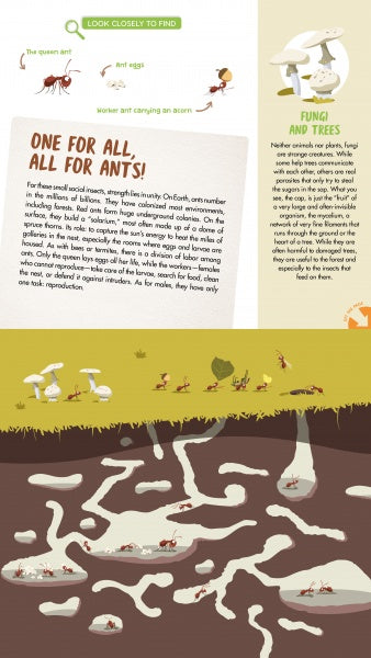 An illustrated infographic from "The Forest" by Schiffer Publishing, Ltd. shows ant colonies interacting with underground fungi, labeled by roles, with white fungal structures and text explaining their cooperation with woodland animals.