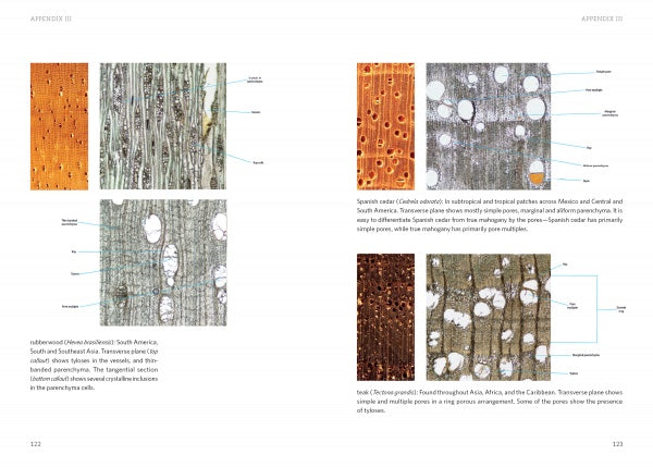 A spread from "Living with Wood" by Schiffer Publishing, Ltd. displays close-ups of wood cross-sections labeled with anatomy details for species like rubberwood, Spanish cedar, and iroko—great for woodworking. Pages 122–123 are shown.