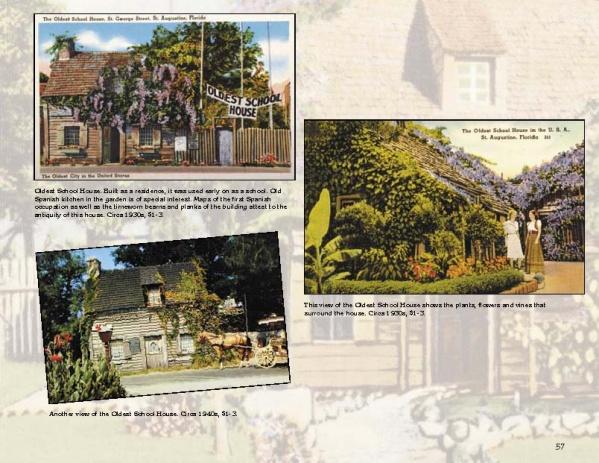 Greetings from St. Augustine by Schiffer Publishing, Ltd. is a collage of three vintage postcards highlighting the Oldest School House, lush gardens, signs, people, and captions that capture scenes from America’s oldest city.