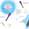 Schiffer Publishing, Ltd.’s “Wood” is an illustrated, step-by-step kids’ craft guide showing how to make a rattle using a wooden spatula, green and orange paint, jingle bells, and a popsicle stick, with labeled materials and colorful drawings.