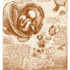 A sepia-toned fetus curled in a womb, with anatomical sketches and notes, appears on the Da Vinci Enigma Tarot card "Three of Fire – Matrix" by Schiffer Publishing, Ltd., evoking the detailed style of its guidebook.