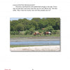 Two brown and white Chincoteague Ponies graze by water with green trees, sand, and grass, evoking Pony Penning scenes. Farther ponies are visible. Inspired by The True Story of Sea Feather from Schiffer Publishing, Ltd.