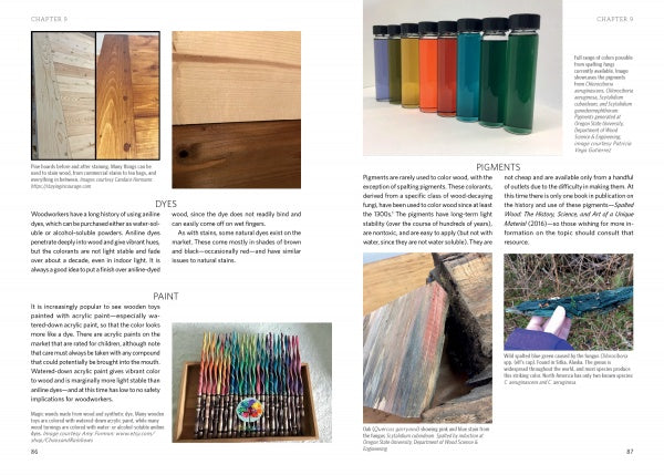 A spread from *Living with Wood* by Schiffer Publishing, Ltd. features text and images on wood finishes, dyes, paint, pigments, and wood anatomy—plus photos of wood textures, pigment bottles, colored pencils, painted wood, and a hand holding a painted stick.