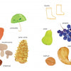 Lili's Seasons by Schiffer Publishing, Ltd. is a picture book for ages 4-8, featuring illustrated, labeled fall items like autumn leaves, apples, mushrooms, a pumpkin, boots, and a red kite—perfect for young readers learning about the seasons.