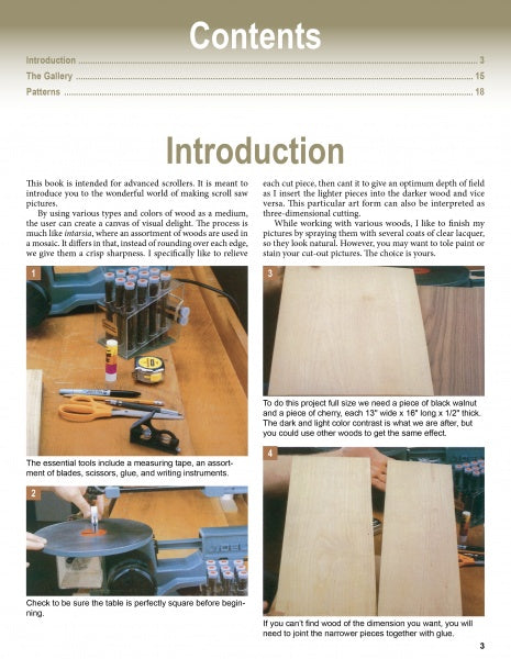 The image shows a page from Schiffer Publishing, Ltd.'s "Scroll Saw Pictures, 2nd Edition," featuring “Contents” and “Introduction” headings, woodworking tips, and photos—ideal inspiration for advanced scrollers seeking new scroll saw pattern ideas.