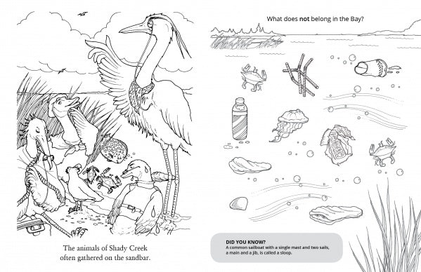Two black-and-white pages from the Chadwick Activity Book by Schiffer Publishing, Ltd.: one shows birds on a sandbar; the other asks "What does not belong in the Bay?" with natural items and trash. Inspired by Chadwick the Crab’s adventures.
