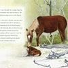Text appears on the left as a brown and white Chincoteague Pony mare grazes by her chestnut foal, surrounded by trees on Assateague Island. In the foreground, a bird perches nearby. Product: Surfer Dude by Schiffer Publishing, Ltd.